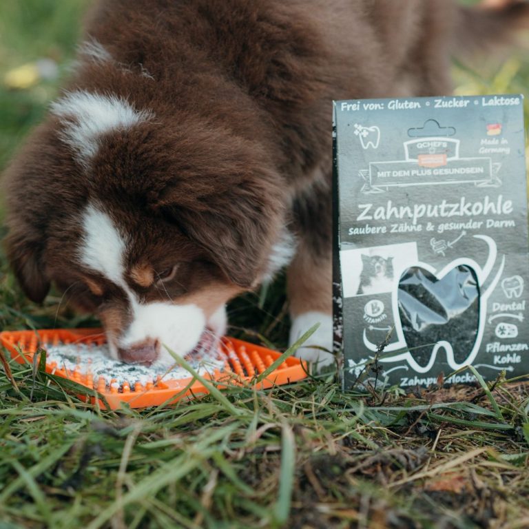 Meine Empfehlungen für Hunde Ein Hund frisst von einer Schleckmatte neben einer Zahnpflegeverpackung von QCHEFS.